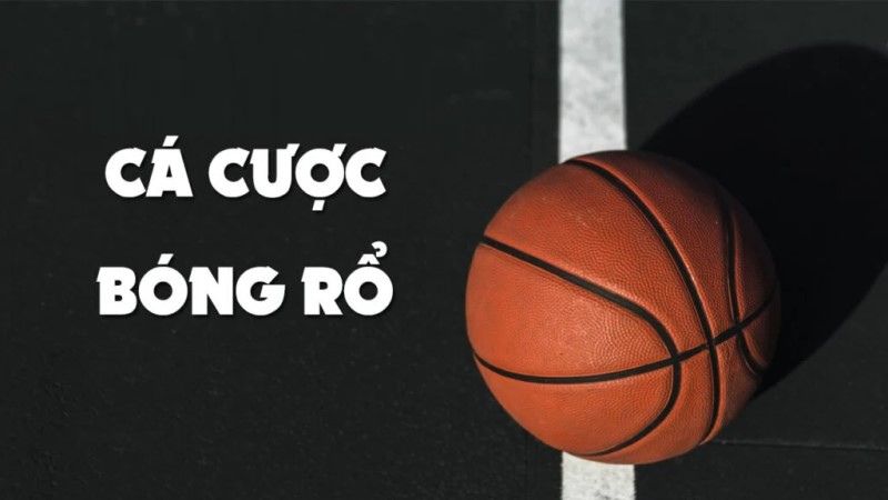 Vì Sao QQ88 Là Điểm Đến Lý Tưởng Cho Dân Đam Mê Cá Cược Bóng Rổ?
