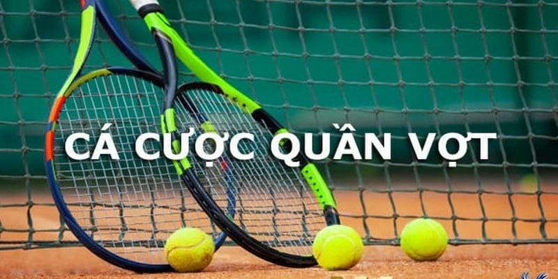 Bí Quyết Cá Cược Quần Vợt Hiệu Quả Cho Người Mới