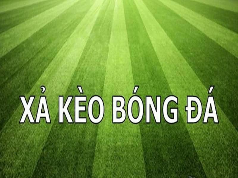 Cách Đọc Tỷ Lệ Kèo Để Biết Nên Xả Hay Giữ