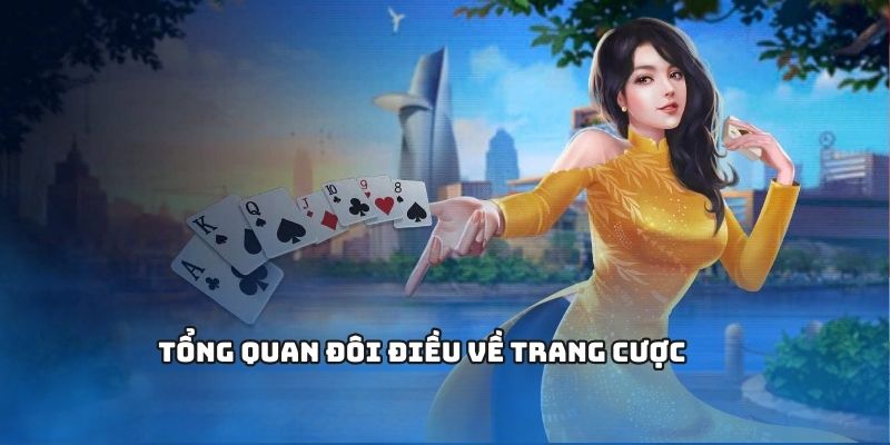 tổng quan về 1gom
