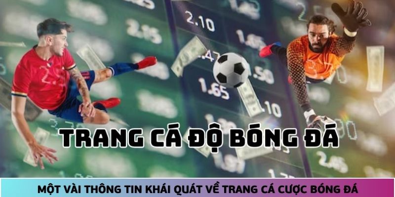 Một vài thông tin khái quát về trang cá cược bóng đá