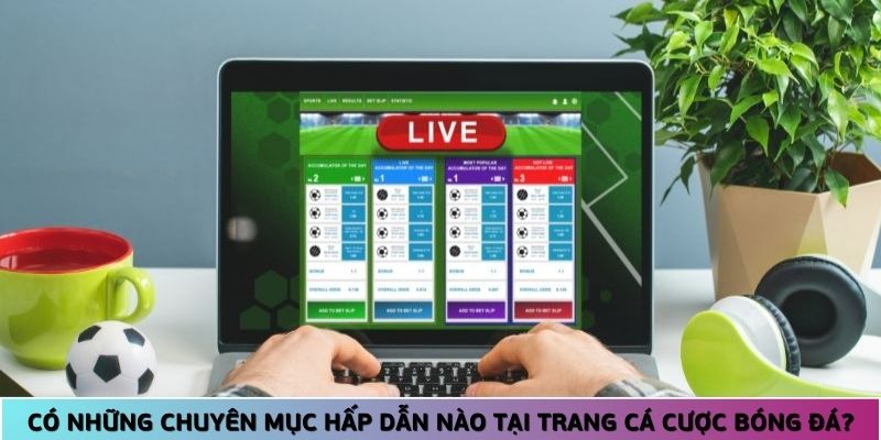 các chuyên mục hấp dẫn