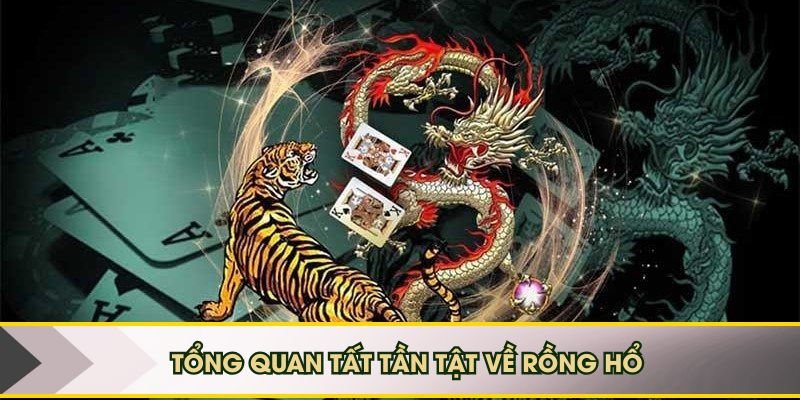 Tổng quan tất tần tật về Rồng Hổ