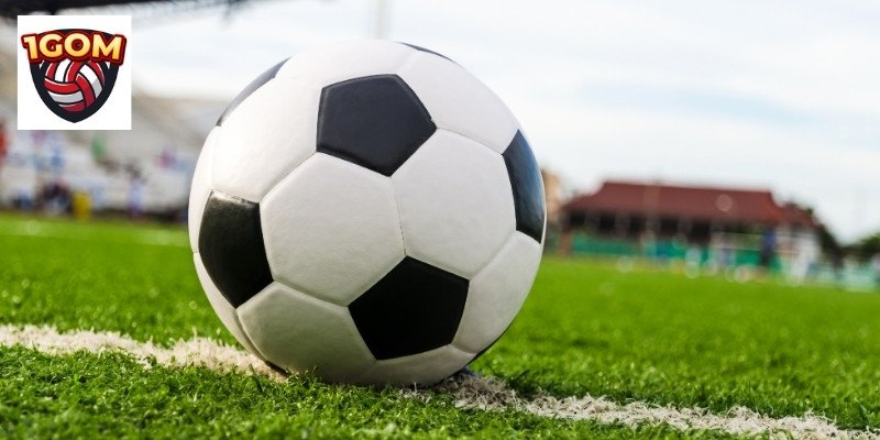 Danh mục cá cược bóng đá phong phú dành cho hội viên 2bong 1gom