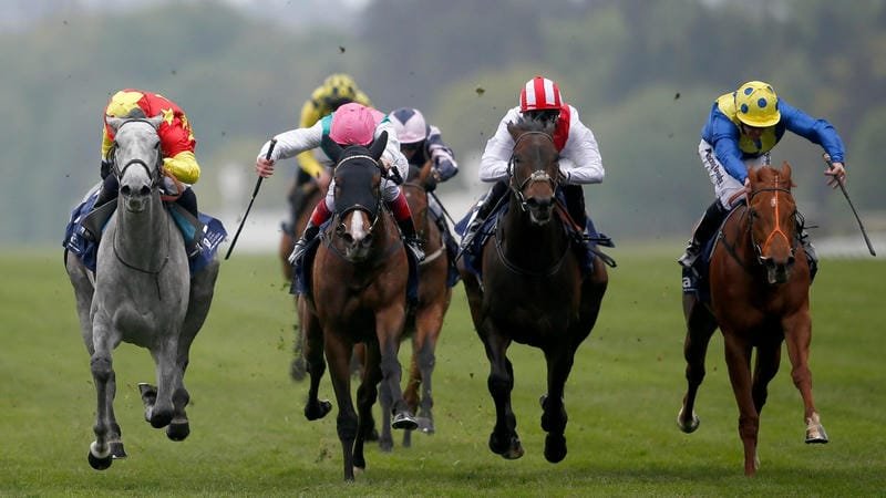 Tối Ưu Tỷ Lệ Cược Biến Động Nhanh 