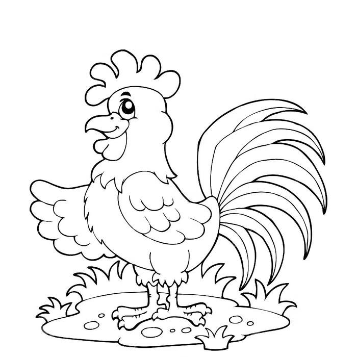 Ảnh tranh tô màu con gà phù hợp trẻ em tập tô tại nhà