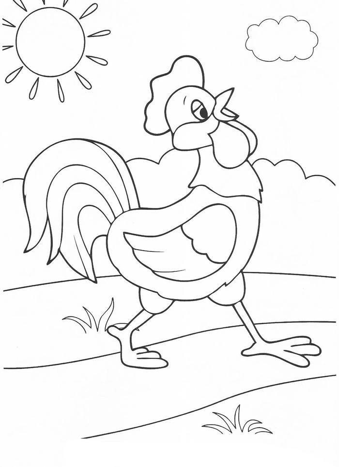 Bức ảnh tranh tô màu con gà dùng cho trẻ em luyện tô