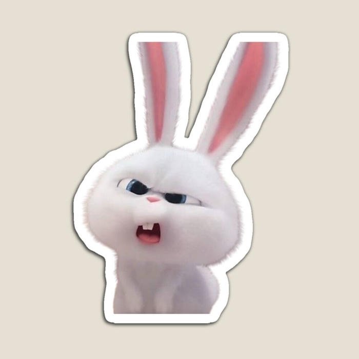 Hình ảnh sticker cute hợp mọi khung chat