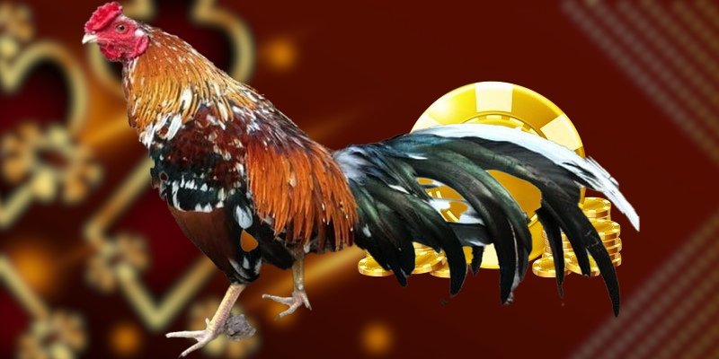 da-ga-truc-tiep-thomo-online-minh-bach-1