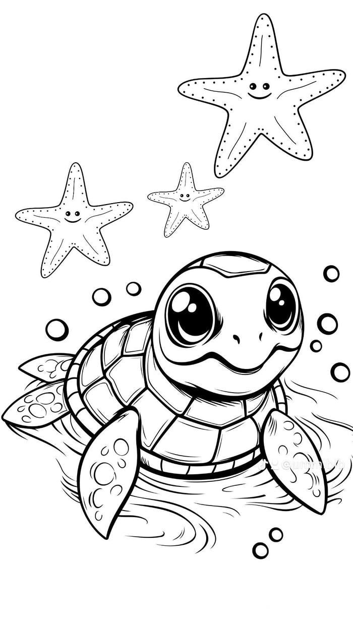 hình ảnh con rùa phục vụ hoạt động tô màu