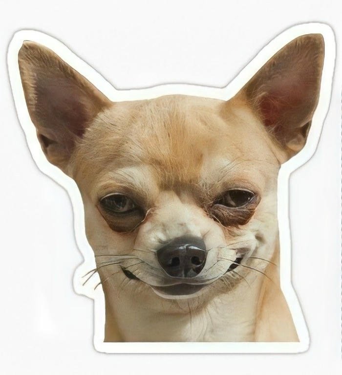 hình nhãn dán bựa con chó cười đểu mất dạy