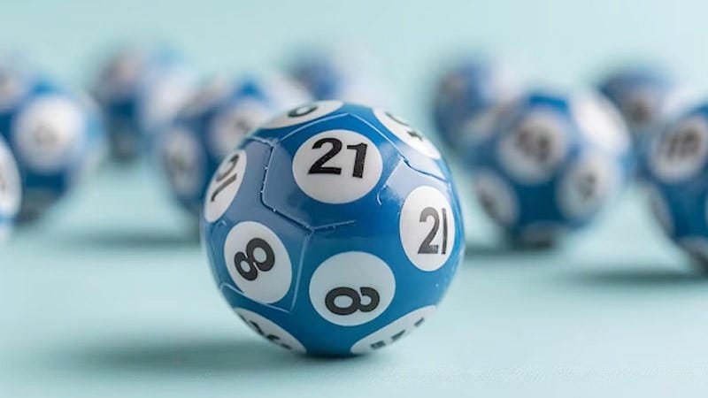 Ưu điểm nổi bật khi nuôi lô xiên dài hạn