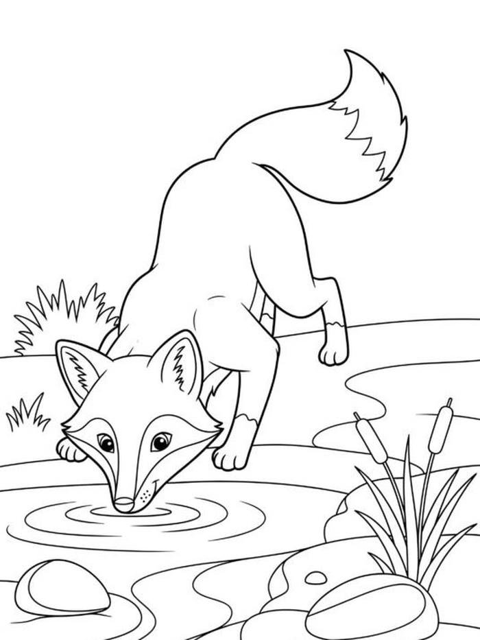 Ảnh bài tô màu con cáo phát triển khả năng làm việc độc lập
