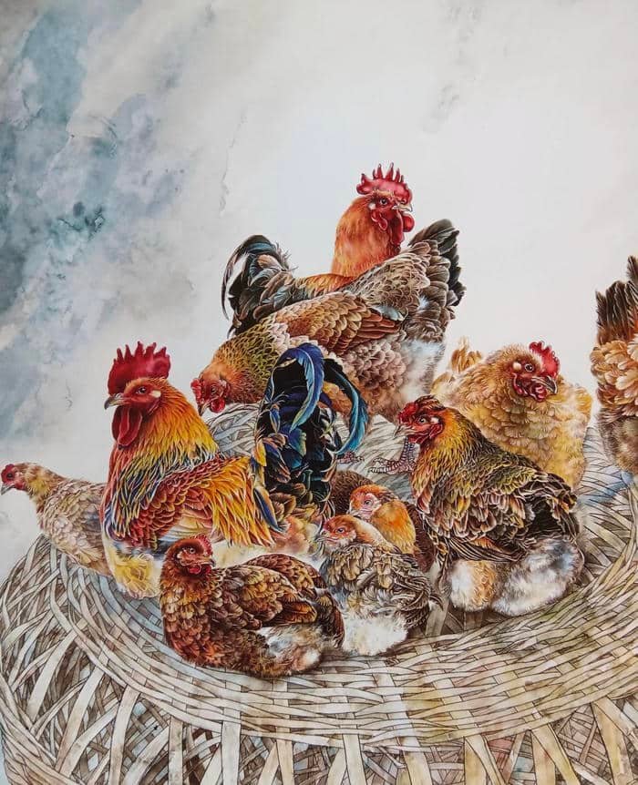 Ảnh tranh vẽ con gà phù hợp dùng trong sách giáo khoa