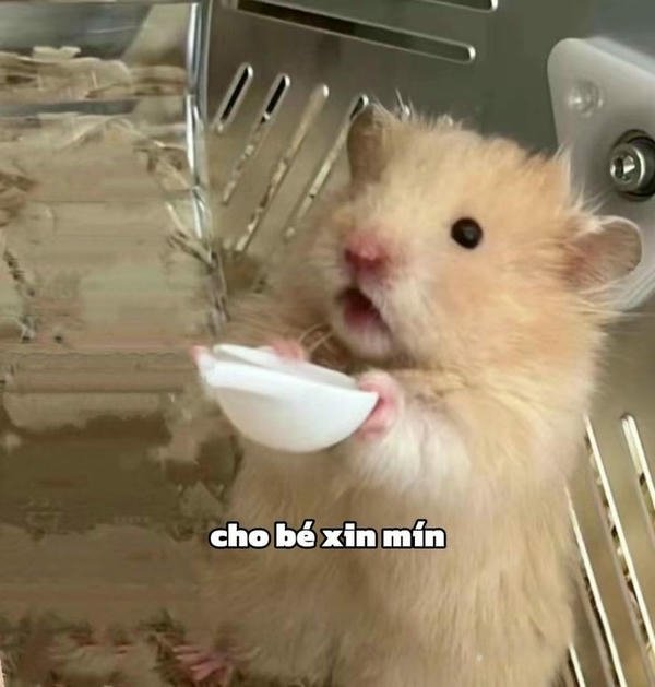 Biểu cảm đời sống khó khăn xuất hiện trong meme