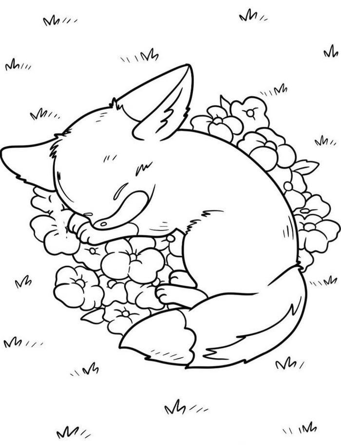 Bức ảnh bài tô màu con cáo giúp duy trì sự ổn định