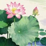 Bức hình tranh vẽ hoa sen thể hiện vẻ đẹp truyền thống