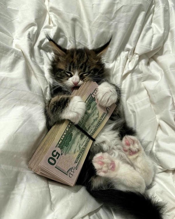 Hình ảnh chi tiêu được thể hiện qua meme