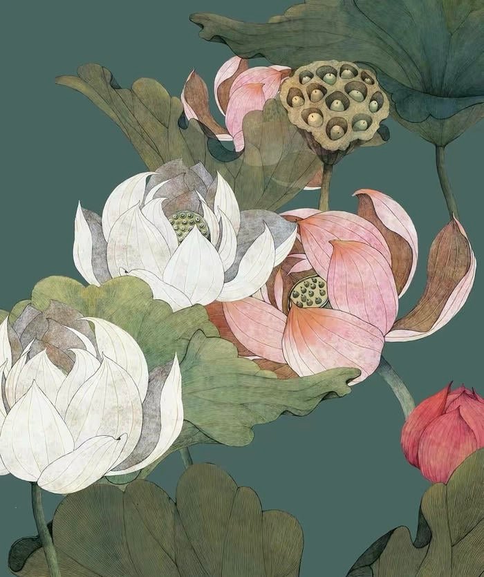 Hình ảnh tranh vẽ hoa sen gợi chiều sâu văn hóa