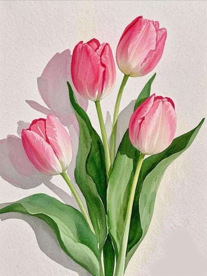 Hình tranh vẽ hoa tulip phù hợp làm tư liệu thiết kế