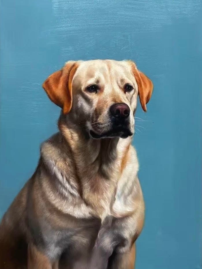 Hình vẽ tranh con chó tạo cảm giác thân thương