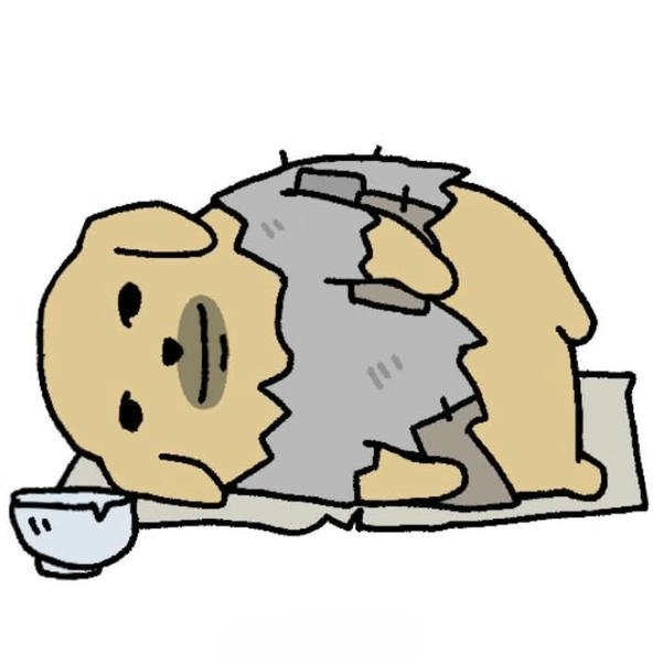 Khoảnh khắc sinh hoạt nghèo tạo cảm hứng meme