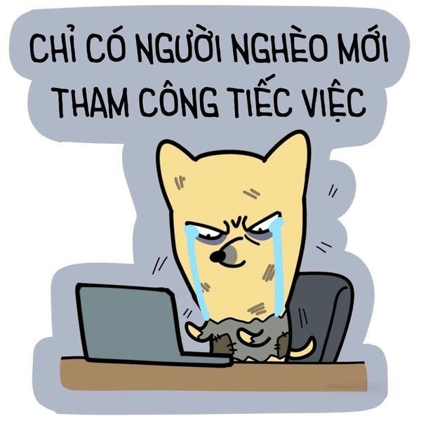 Meme cuộc sống nghèo mang năng lượng hài chua