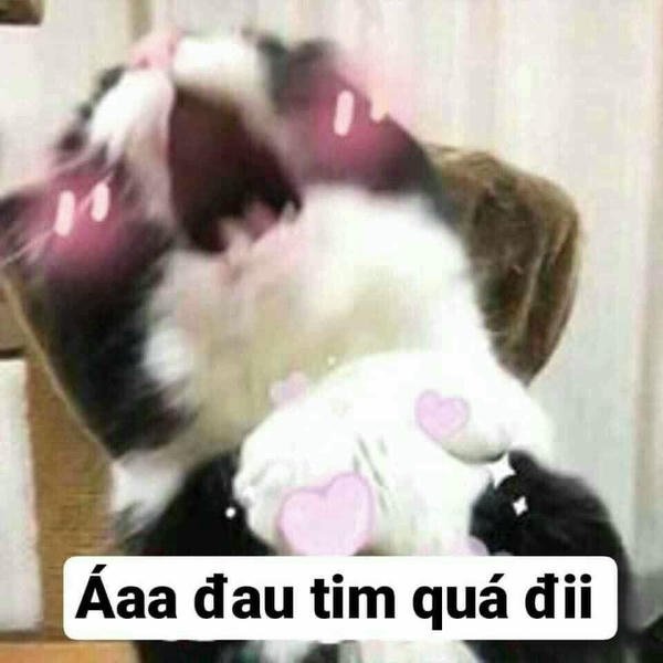 Meme đau tim phản xạ siêu nhanh hài hước mạnh