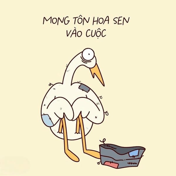 Meme nghèo khoảnh khắc đời sống giản đơn hài