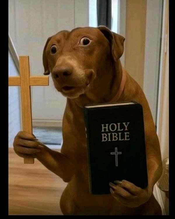 Meme sợ hãi khoảnh khắc bất an cực vui nhộn