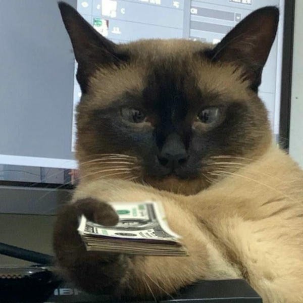 Meme tiền kể chuyện ví mỏng theo cách vui nhộn