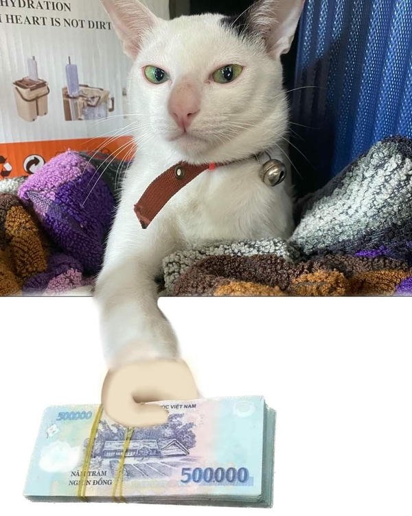 Meme tiền lột tả cảnh tiêu dè sẻn mỗi