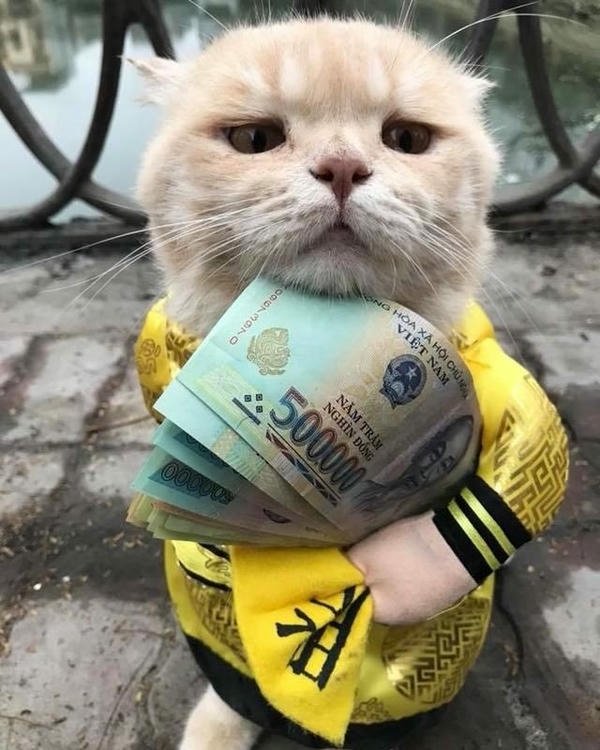 Meme tiền minh họa cảnh tiêu tiền không kiểm soát