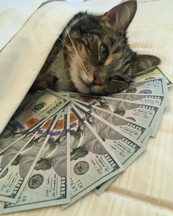 Meme tiền tái hiện nỗi ám ảnh mang tên hóa