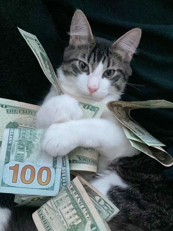 Meme tiền thể hiện cảm giác tiêu hoang rồi hối