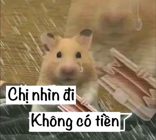 Nghèo meme phong cách hài hước phản ánh đời sống