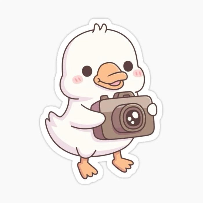 Ảnh sticker dễ thương ánh nhìn long lanh