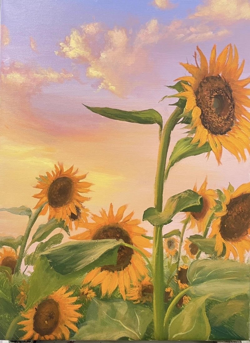 Ảnh tranh vẽ cánh đồng hoa hướng dương rực rỡ