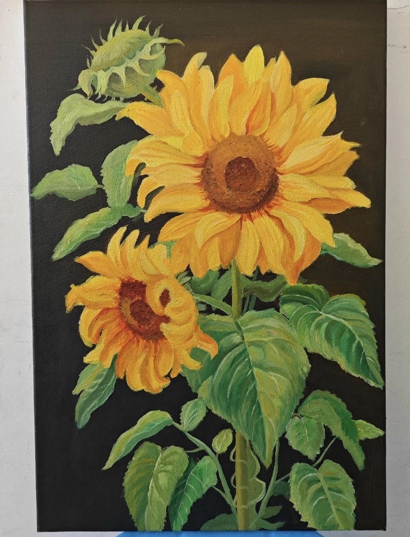 Ảnh vẽ tranh phong cảnh hoa hướng dương đầy màu sắc