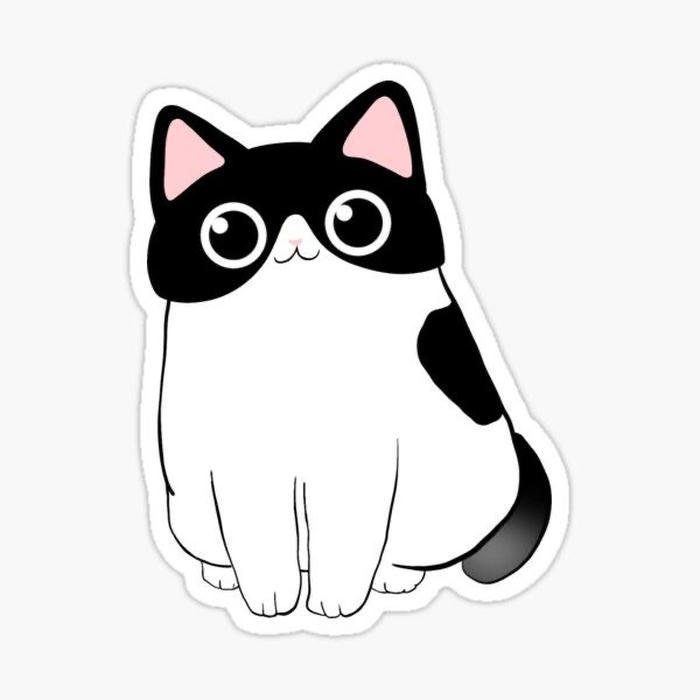 Bức ảnh sticker mèo phong cách sinh động