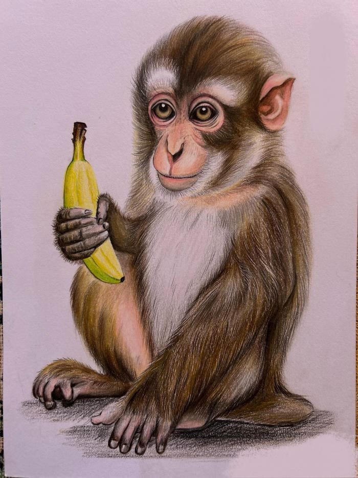 Bức ảnh tranh vẽ con khỉ dáng ngồi trên đá