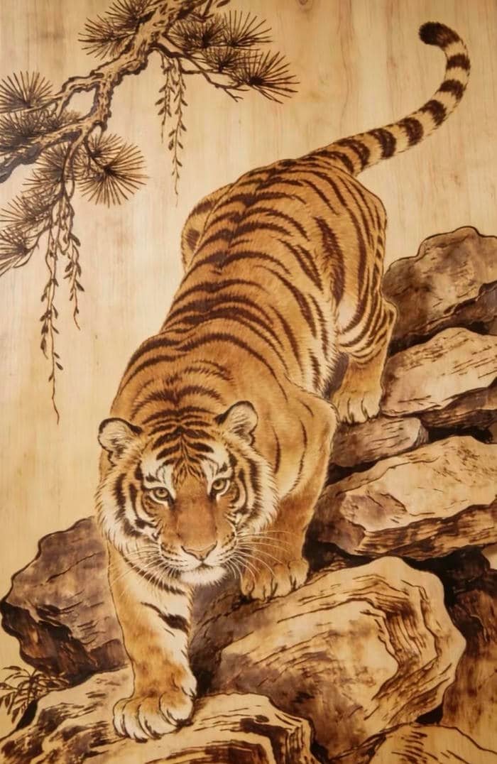 Bức hình tranh vẽ con hổ tạo điểm nhấn mạnh