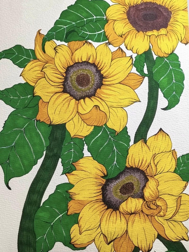 Bức tranh vẽ tĩnh vật hoa hướng dương nhẹ nhàng