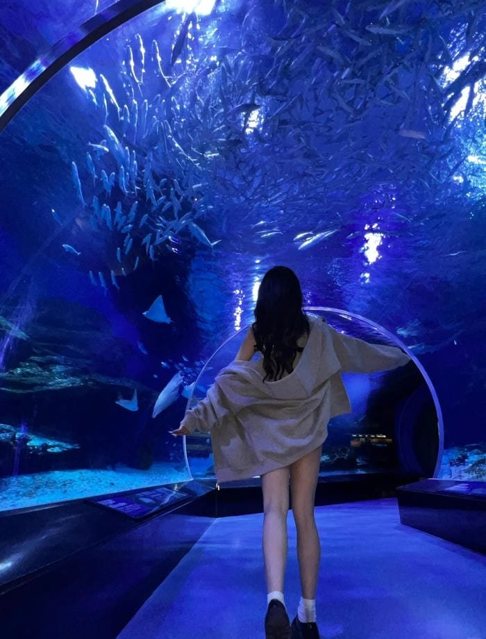 Góc chụp phía sau tôn dáng ảnh gái xinh quay lưng