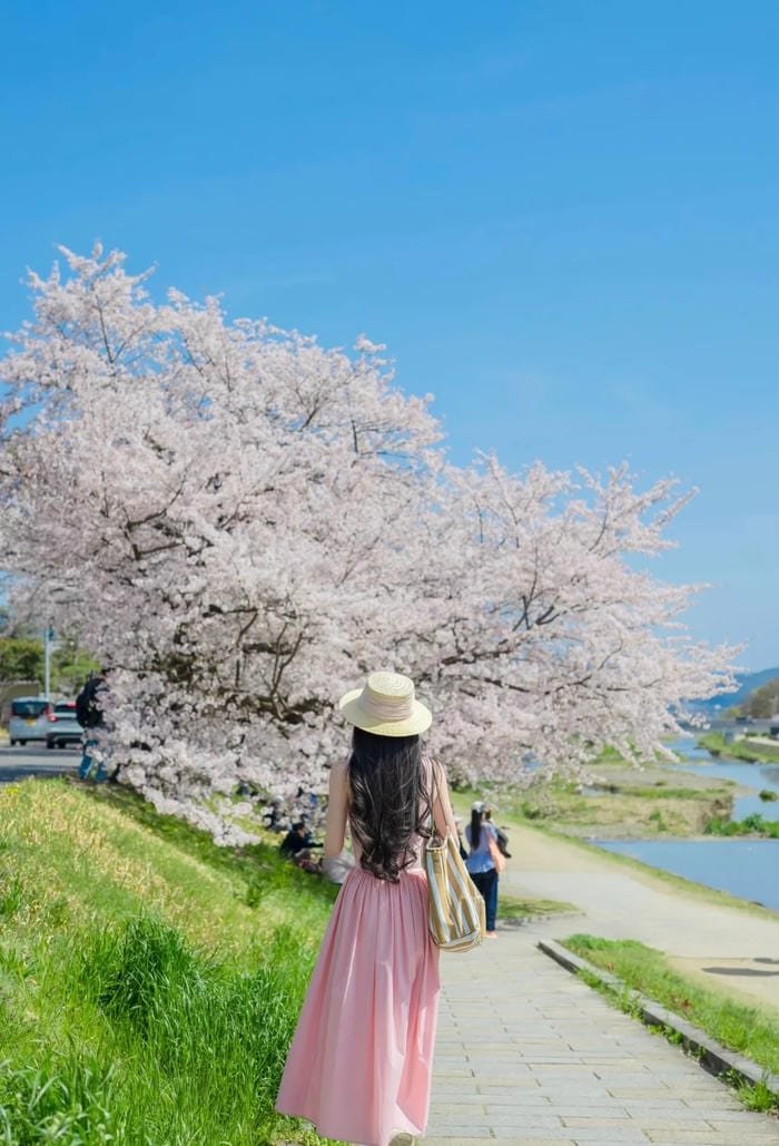 Hình nền điện thoại phù hợp ảnh gái xinh quay lưng