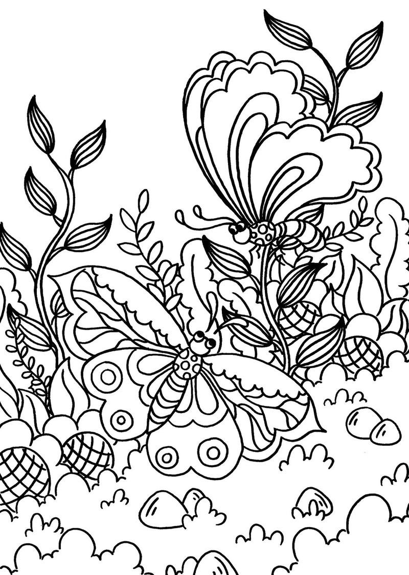 Hình tô màu con bướm với họa tiết cánh xinh