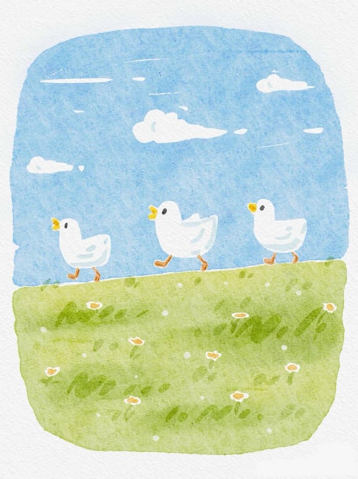 Hình tranh vẽ con vịt cho cảm giác hình ảnh dễ quan sát