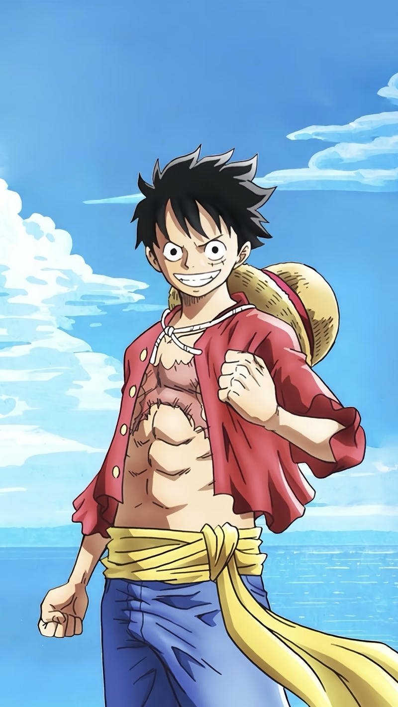 Monkey D Luffy dáng đứng mạnh mẽ thể hiện ý chí
