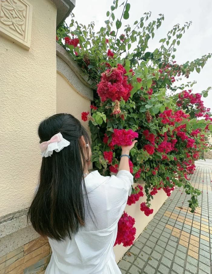 Vibe trầm lắng thể hiện trong ảnh cô gái quay lưng